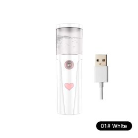 Portable And Portable Small Rechargeable Face Steaming And Moisturizing Instrument (Option: White-USB)