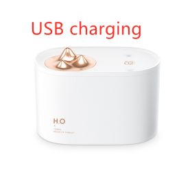 Wireless Mini USB charging sprayer (Option: USB charging)